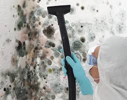 Millers Falls, MA Mold Removal & Remediation Company